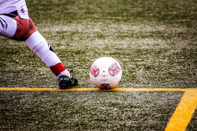 球迷们期待 球迷们期待