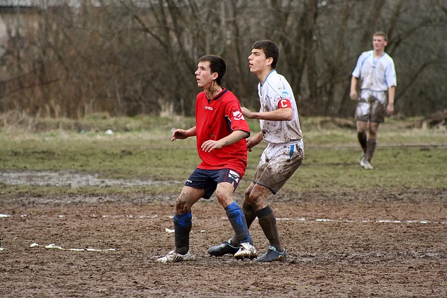 的期待愈發 的期待愈發